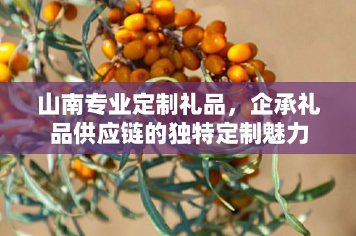 山南专业定制礼品，企承礼品供应链的独特定制魅力
