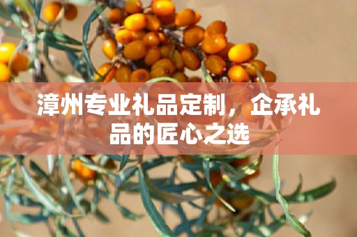 漳州专业礼品定制，企承礼品的匠心之选