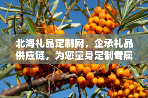北海礼品定制网，企承礼品供应链，为您量身定制专属礼品