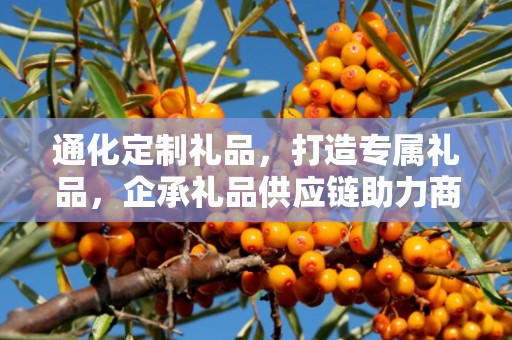 通化定制礼品，打造专属礼品，企承礼品供应链助力商务之选